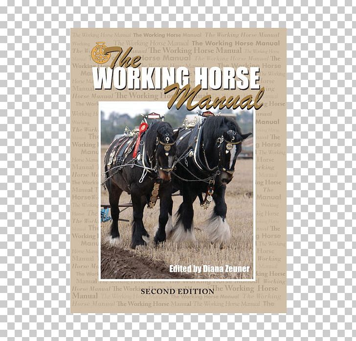 Stallion The Working Horse Manual Welsh Cob Welsh Pony Of Cob Type PNG, Clipart, Advertising, Book, Cob, Draft Horse, Edition Free PNG Download
