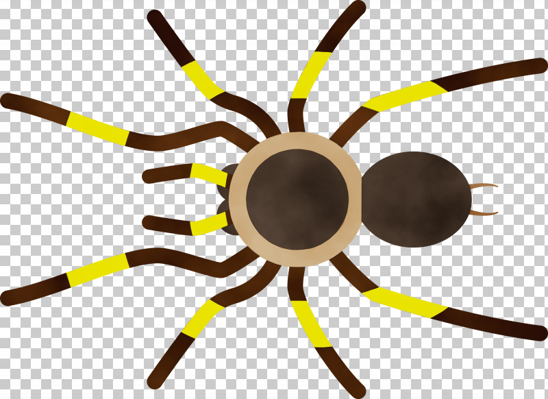 Insect Yellow Line PNG, Clipart, Cartoon Spider, Insect, Line, Paint, Watercolor Free PNG Download