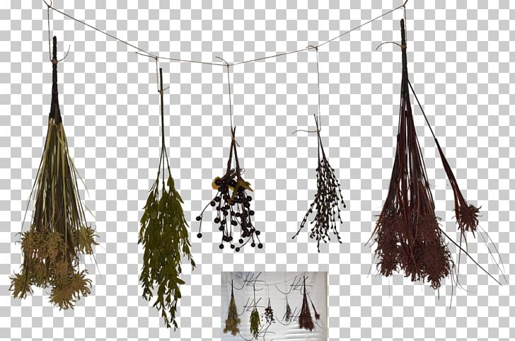 Herb Food Drying Digital Art PNG, Clipart, Art, Deviantart, Digital Art, Food Drying, Herb Free PNG Download