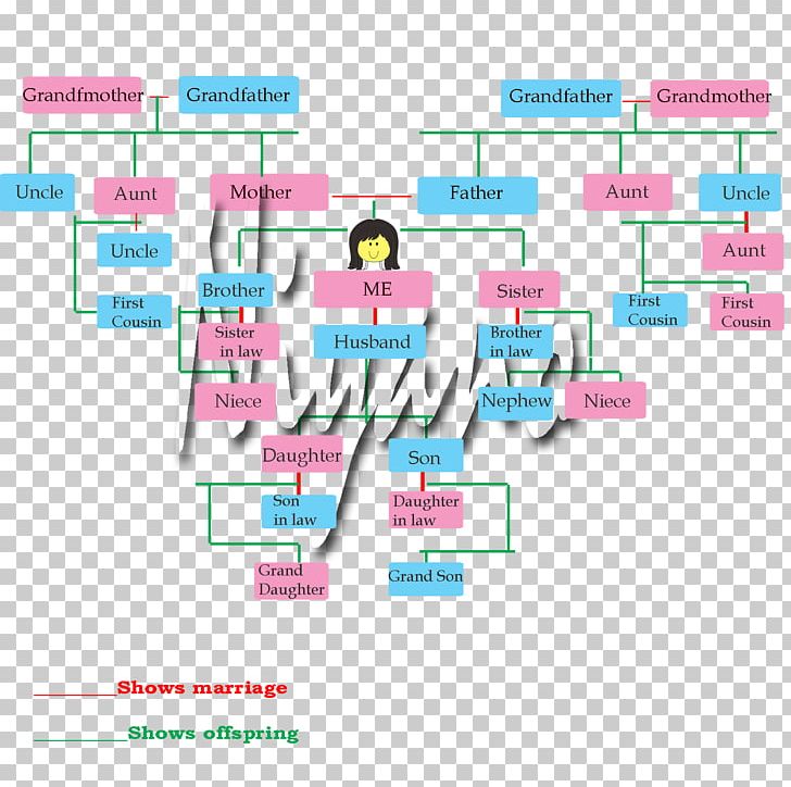 Paper USMLE Step 3 Diagram Family Tree Olympiad PNG, Clipart, Area, Brand, Diagram, Family, Family Tree Free PNG Download