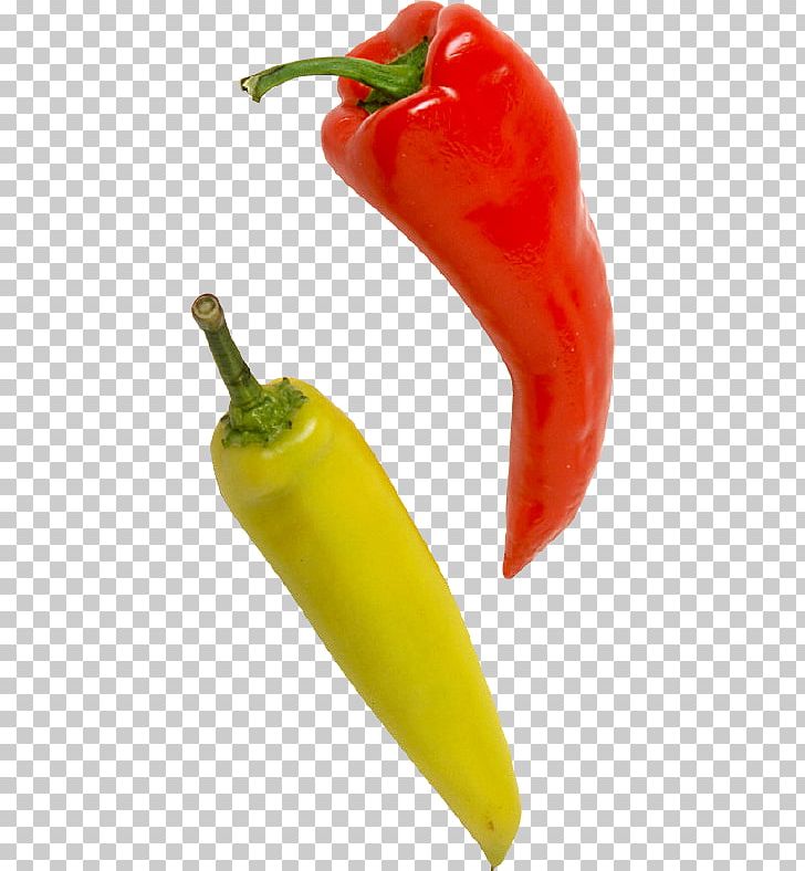 Serrano Pepper Jalapeño Bird's Eye Chili Tabasco Pepper Cayenne Pepper PNG, Clipart,  Free PNG Download