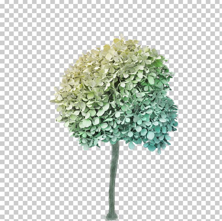 Tree PNG, Clipart, Autumn Tree, Change, Christmas Tree, Clip Art, Cut Flowers Free PNG Download