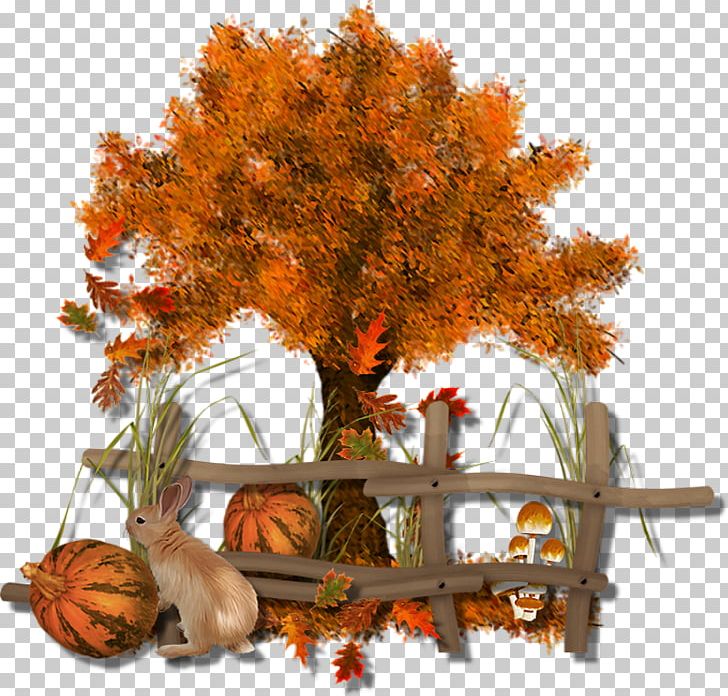 Autumn Leaf Color Tree Autumn Leaf Color PNG, Clipart, Autumn, Autumn Leaf Color, Branch, Floral Design, Leaf Free PNG Download