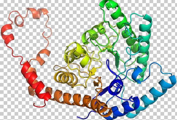 Ligand-gated Ion Channel Organism PNG, Clipart, Body Jewellery, Body Jewelry, Human Body, Ion, Ion Channel Free PNG Download