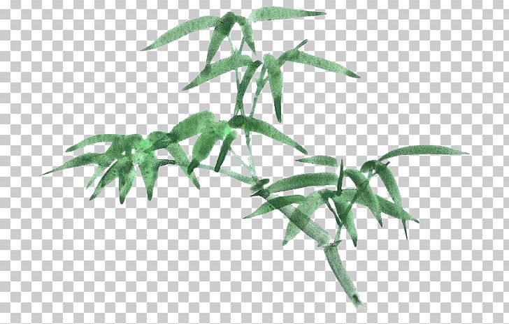 Bamboo Cartoon Drawing PNG, Clipart, Art, Bamboo, Bamboo Leaves, Bamboo Tree, Bambusa Oldhamii Free PNG Download