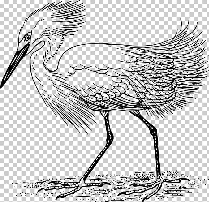 Heron Snowy Egret Crane PNG, Clipart, Art, Artwork, Beak, Bird, Black And White Free PNG Download