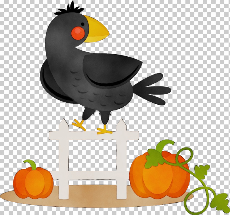 Pumpkin PNG, Clipart, Beak, Biology, Cartoon, Flower, Landfowl Free PNG Download