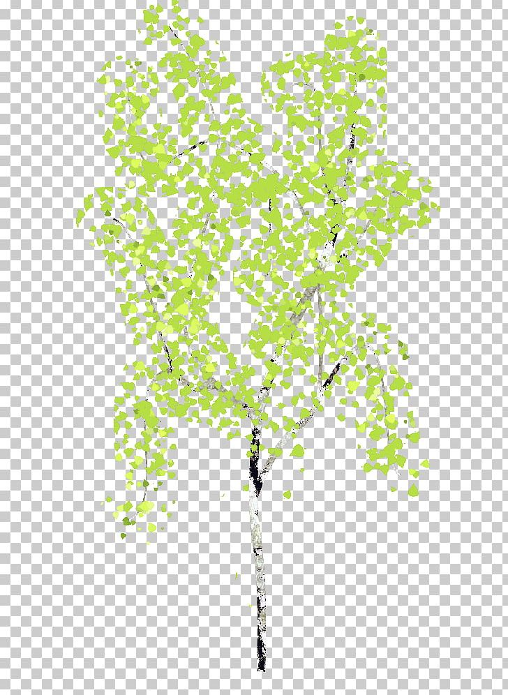 Birch Drawing Portable Network Graphics GIMP PNG, Clipart, Birch, Branch, Chestnut Tree, Confetti, Drawing Free PNG Download