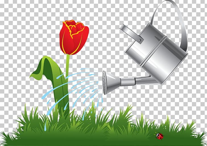 Graphic Designer Logo PNG, Clipart, Art, Bachelorette, Computer Wallpaper, Drawing, Encapsulated Postscript Free PNG Download