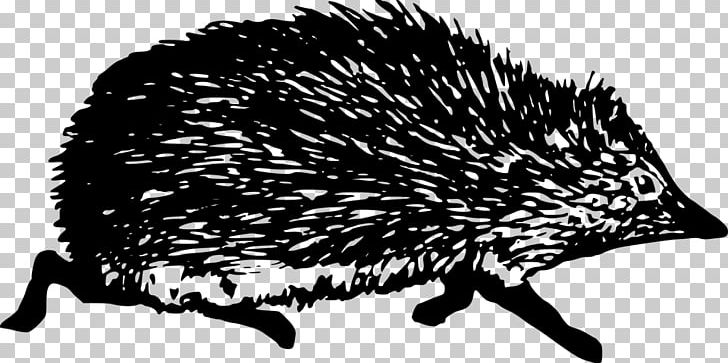 Hedgehog Computer Icons PNG, Clipart, Animal, Animals, Black And White, Computer Icons, Domesticated Hedgehog Free PNG Download
