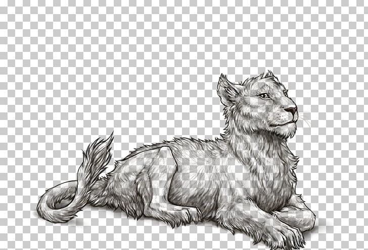 Lion Whiskers Tiger Cat Fiery Belly PNG, Clipart, Animals, Art, Artwork, Big Cats, Black And White Free PNG Download