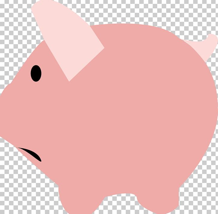 Pig Rat Snout Mammal Whiskers PNG, Clipart, Animals, Carnivora, Carnivoran, Cartoon, Head Free PNG Download