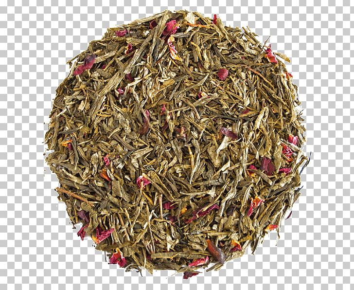 Anise Spice Assam Tea Earl Grey Tea Dianhong PNG, Clipart, Anise, Apiaceae, Assam Tea, Bancha, Ceylon Tea Free PNG Download