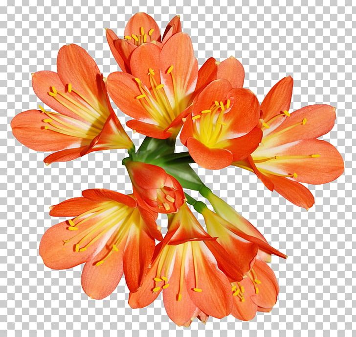 Flower Bouquet Yellow PNG, Clipart, Alstroemeriaceae, Beautiful, Bouquet Of Flowers, Closeup, Designer Free PNG Download