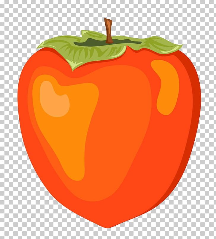 Persimmon Drawing PNG, Clipart, Adobe Illustrator, Apple, Can Stock Photo, Encapsulated Postscript, Food Free PNG Download