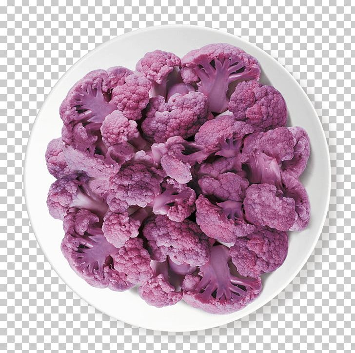 Superfood PNG, Clipart, Fiore, Lilac, Magenta, Others, Purple Free PNG Download