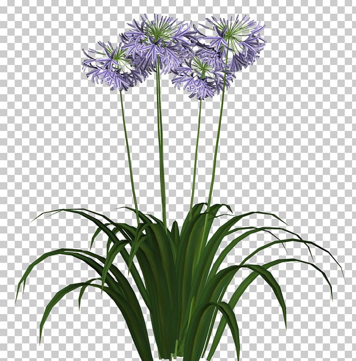Floral Design Drawing PNG, Clipart, Banco De Imagens, Computer Icons, Cut Flowers, Data Conversion, Drawing Free PNG Download
