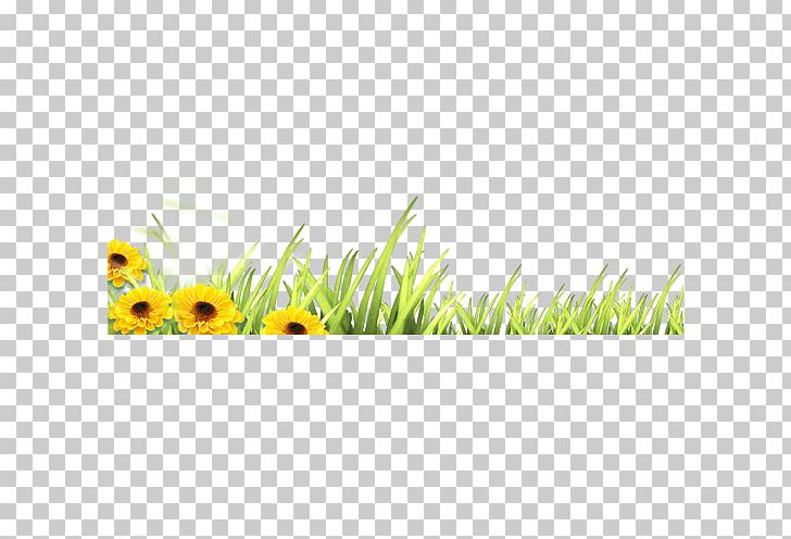 Flower PNG, Clipart, Area, Artificial Grass, Background, Cartoon Grass, Creative Grass Free PNG Download