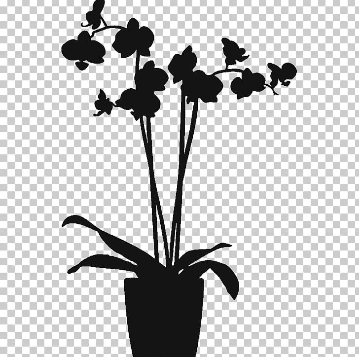 LADP PNG, Clipart, Black, Black And White, Branch, Flora, Flower Free PNG Download