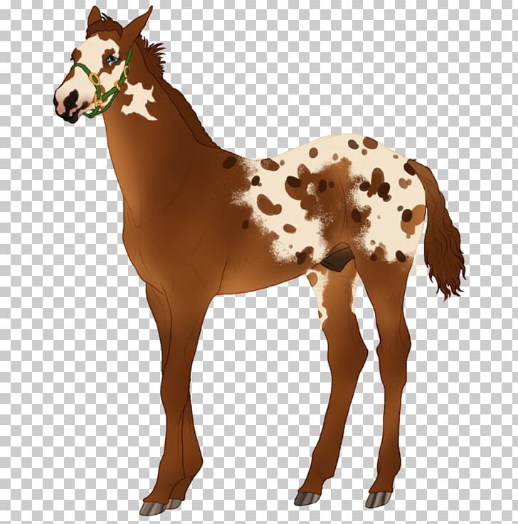Mustang Appaloosa Foal Pony Overo PNG, Clipart, Animal, Animal Figure, Appaloosa, Chestnut, Colt Free PNG Download