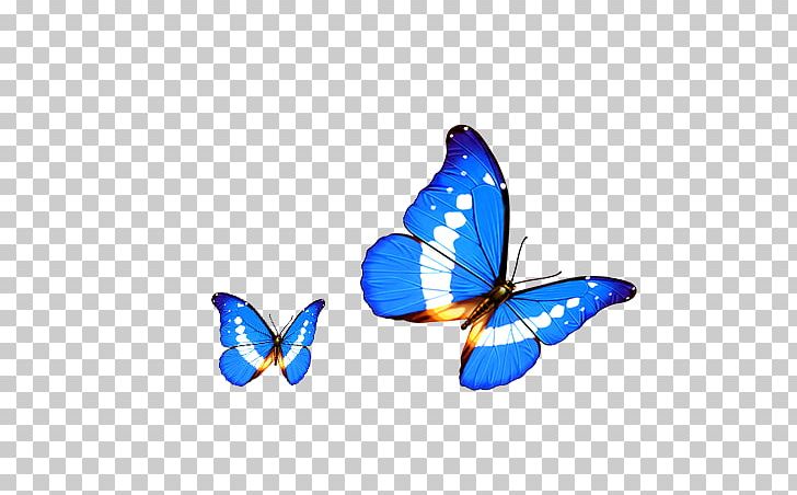 Butterfly Transparency And Translucency Android Computer PNG, Clipart, Blue, Brush Footed Butterfly, Cartoon Character, Cartoon Cloud, Cartoon Eyes Free PNG Download