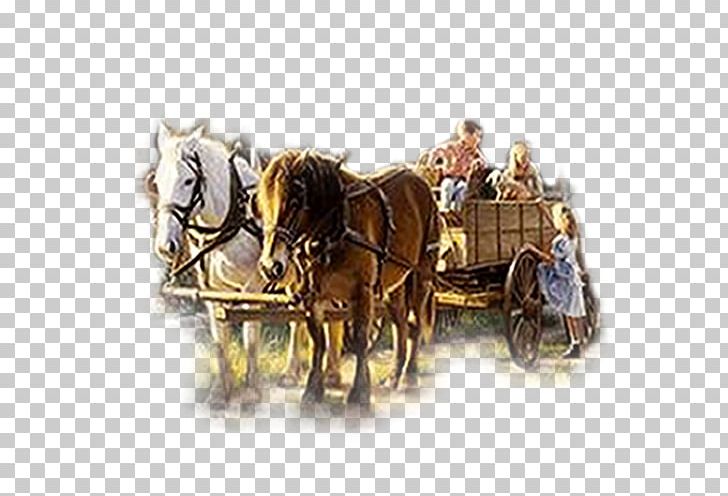 Horse And Buggy Horse Harnesses Chariot Cart PNG, Clipart, Animals, Carriage, Cart, Chariot, Chariot Racing Free PNG Download