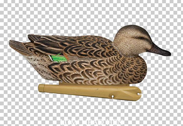 Mallard Duck Fauna Beak PNG, Clipart, Animals, Beak, Bird, Duck, Ducks Geese And Swans Free PNG Download