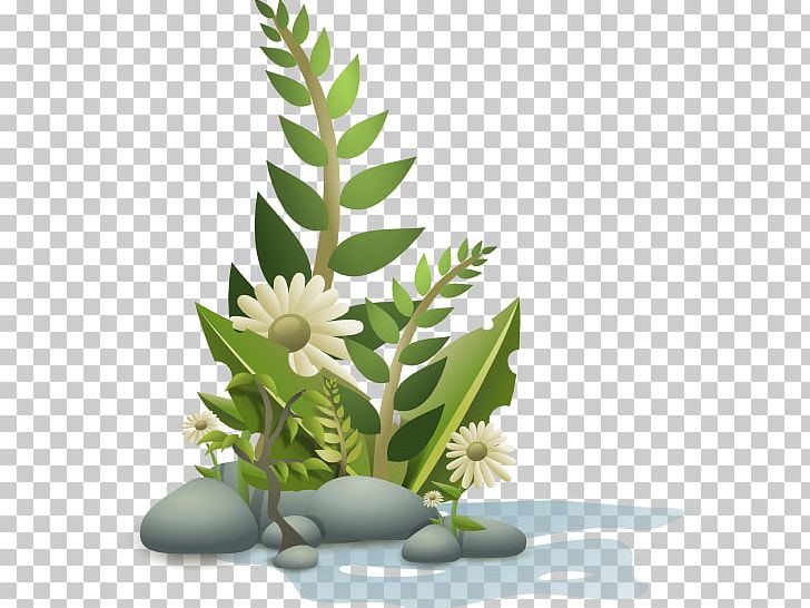 Plant Cartoon PNG, Clipart, Alternative Medicine, Cactaceae, Carnivorous Plant, Cartoon, Floral Design Free PNG Download