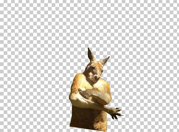 Kangaroo Gangster Film PNG, Clipart, Animals, Combiner Wars, Cutout, Dog, Fauna Free PNG Download