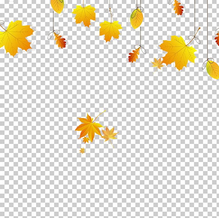 Maple Leaf Autumn Leaf Color PNG, Clipart, Autumn Leaf, Cartoon, Deciduous, Design, Download Free PNG Download