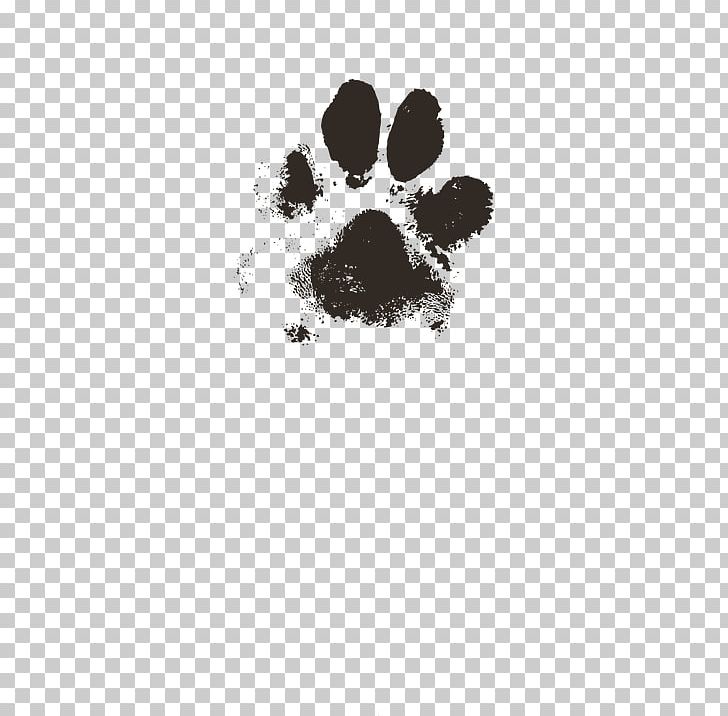 Paw Cat Puppy Printing Footprint PNG, Clipart, Animals, Black, Black And White, Cat, Chihuahua Free PNG Download