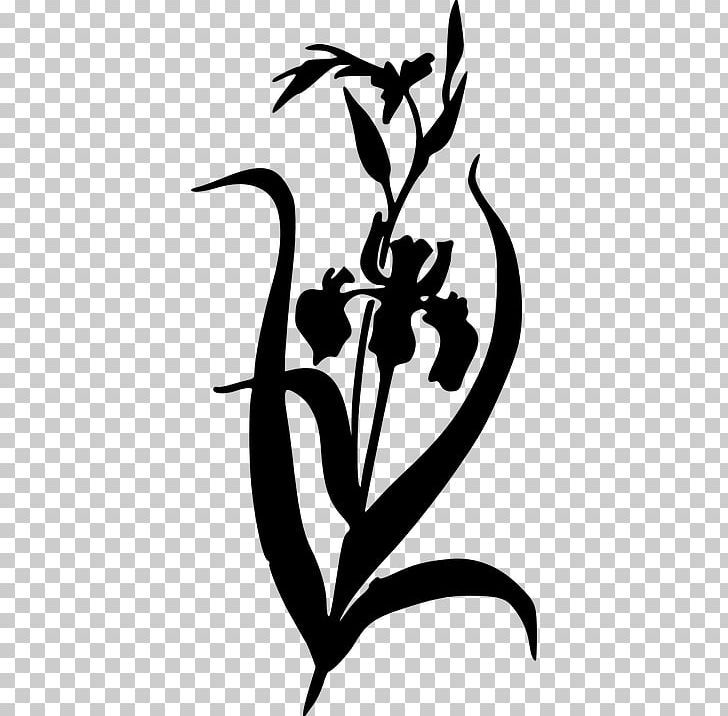 Irises PNG, Clipart, Art, Artwork, Beak, Bird, Black And White Free PNG Download