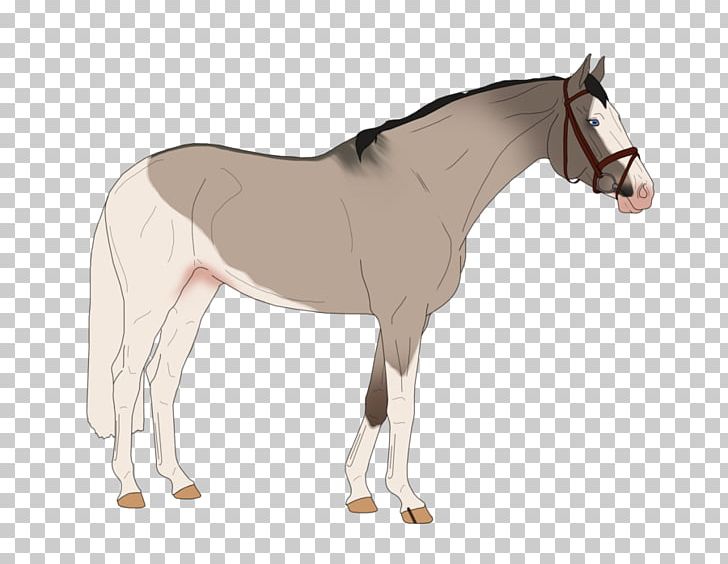 Mule Foal Stallion Rein Pony PNG, Clipart, Burnt Trees, Colt, English Riding, Equestrian, Foal Free PNG Download