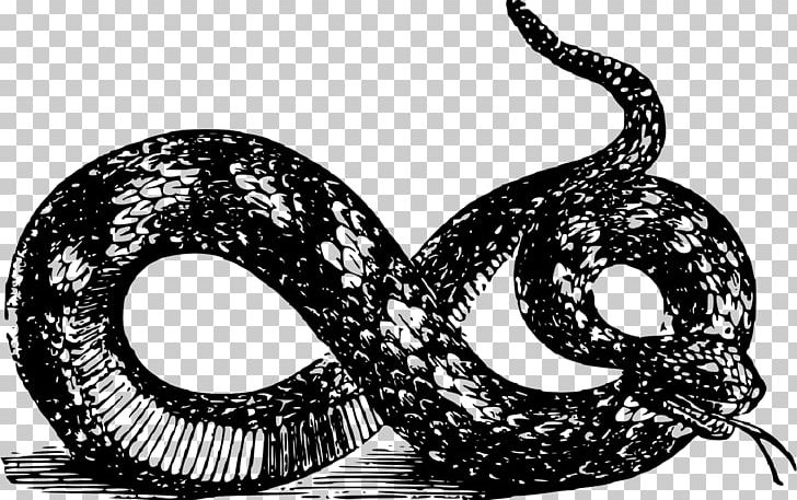 Snake Libertarianism Gadsden Flag PNG, Clipart, Animals, Belly, Black And White, Desktop Wallpaper, Gadsden Flag Free PNG Download