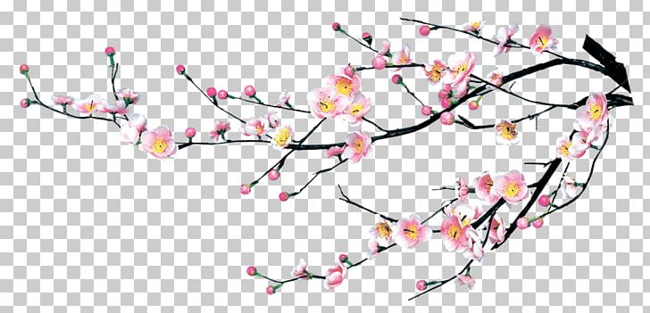 Cherry Blossom Plum Blossom PNG, Clipart, Art, Beak, Bird, Blossom, Branch Free PNG Download