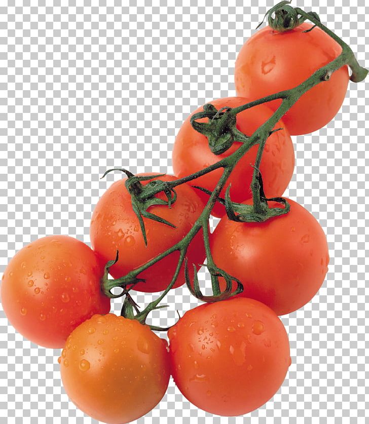 Cherry Tomato Pasta Organic Food Pesto Tomato Paste PNG, Clipart, Athletes, Bush Tomato, Carbs, Citrus, Clementine Free PNG Download