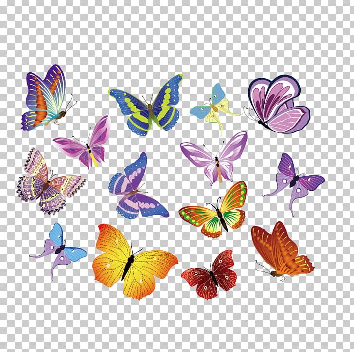 Euclidean PNG, Clipart, Brush Footed Butterfly, Color, Color Pencil, Color Powder, Colors Free PNG Download