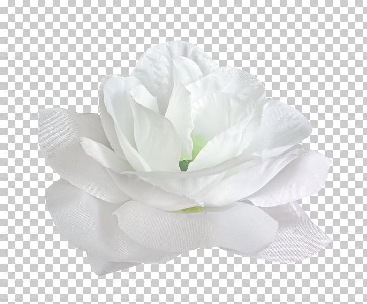 Flower White Petal PNG, Clipart, Color, Download, Floristry, Flower, Flowering Plant Free PNG Download