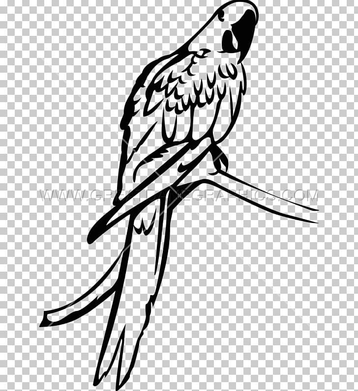 Macaw Parakeet Parrot Bird PNG, Clipart, Artwork, Beak, Bird, Black And White, Blueandyellow Macaw Free PNG Download