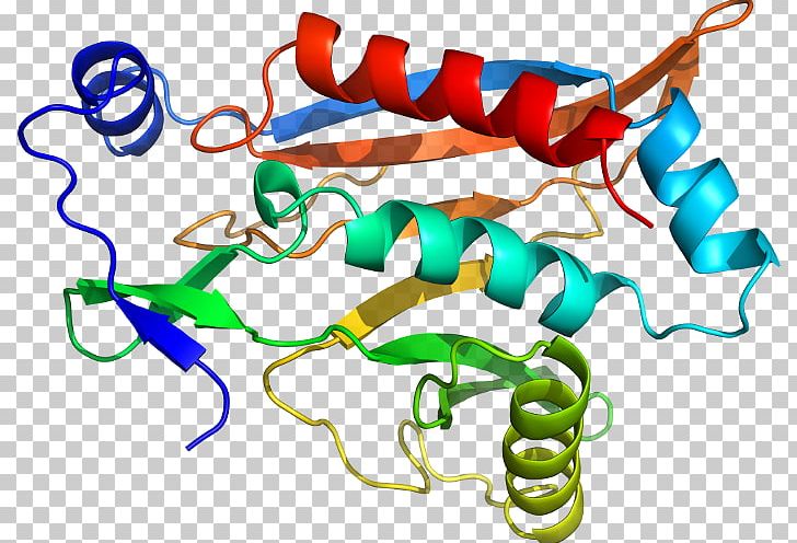 Benzylpenicillin Chloramphenicol Quizlet Organism PNG, Clipart, Animation, Area, Artwork, Benzylpenicillin, C 43 Free PNG Download