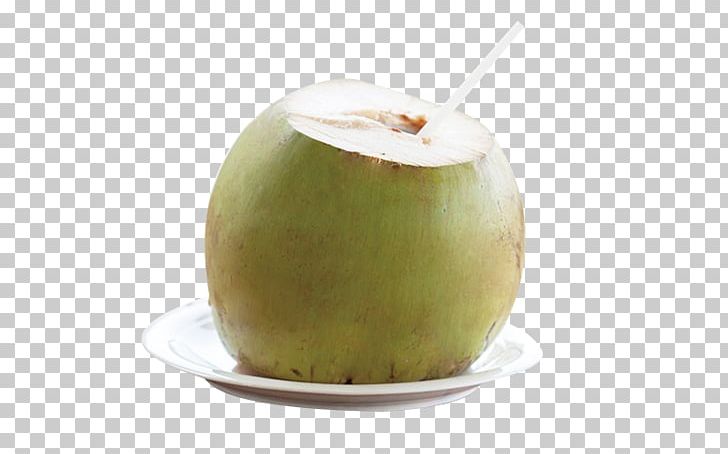 Coconut Milk Coconut Water Thai Cuisine PNG, Clipart, Coconut, Coconut Oil, Coconut Tree, Copra, Designer Free PNG Download