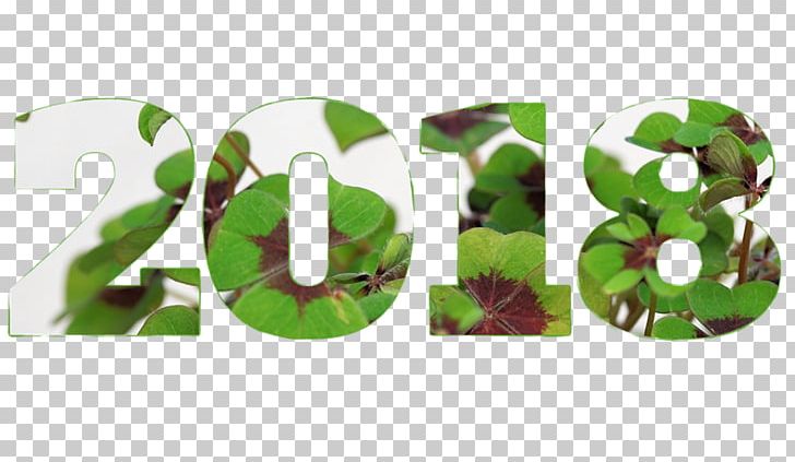 New Year's Day New Year's Resolution Organic Food Wish PNG, Clipart, Christmas, December 31, Every Day, Grass, Green Free PNG Download