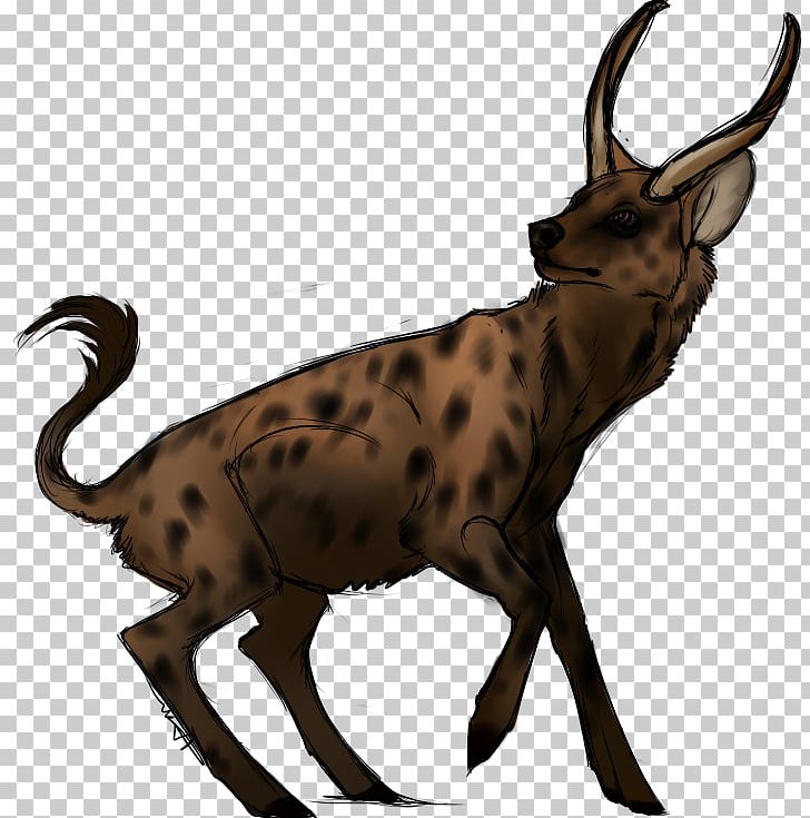 Antelope Deer Goat Horn Wildlife PNG, Clipart, Animal, Animals, Antelope, Antler, Butterbrot Free PNG Download