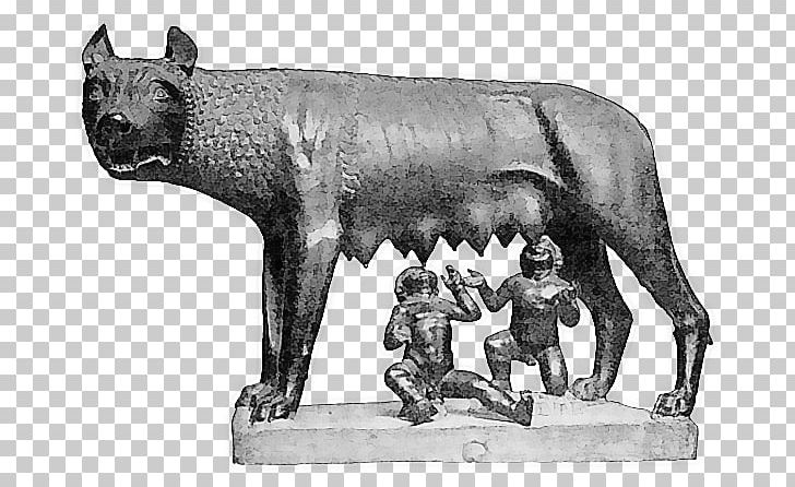 Capitoline Wolf Capitoline Museums Ancient Rome Palatine Hill Romulus PNG, Clipart, Art, Black And White, Bull, Capitoline Museums, Capitoline Wolf Free PNG Download