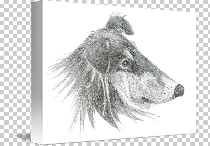 Dog Breed Snout White PNG, Clipart, Animals, Black And White, Breed, Carnivoran, Dog Free PNG Download