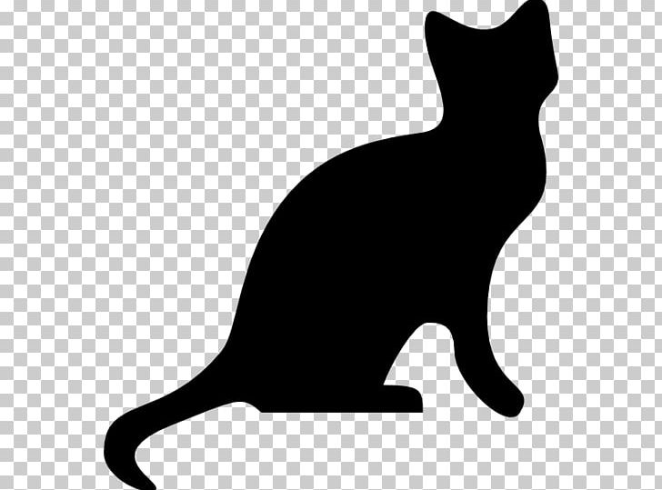 Kitten Havana Brown Tabby Cat PNG, Clipart, Animals, Black, Black And White, Black Cat, Brown Free PNG Download