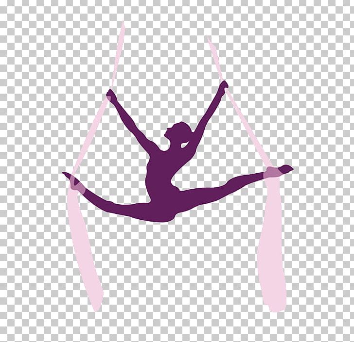 Acrobatics Aerial Silk Circus Pole Dance Gymnastics PNG, Clipart, Acrobatics, Aerial Silk, Arm, Choreography, Gymnastics Free PNG Download