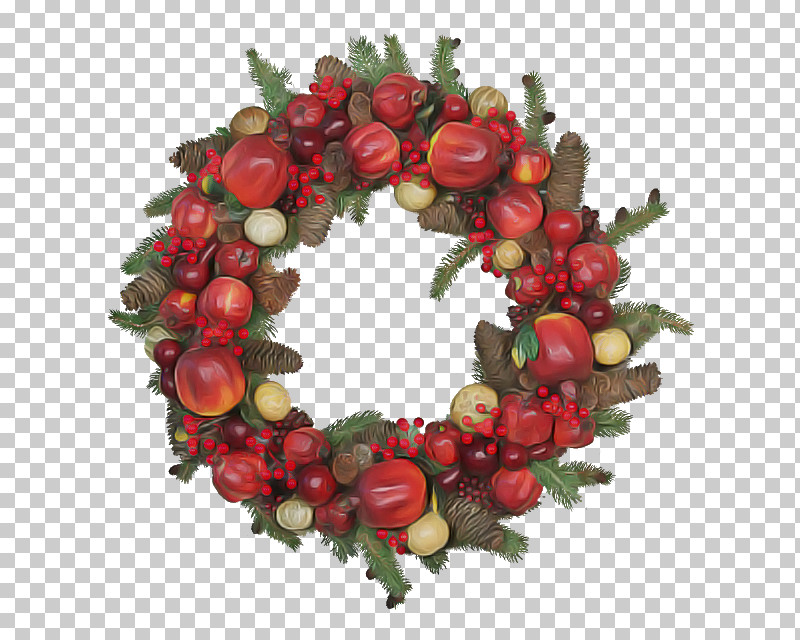 Christmas Decoration PNG, Clipart, Berry, Christmas Decoration, Flower, Fruit, Holly Free PNG Download