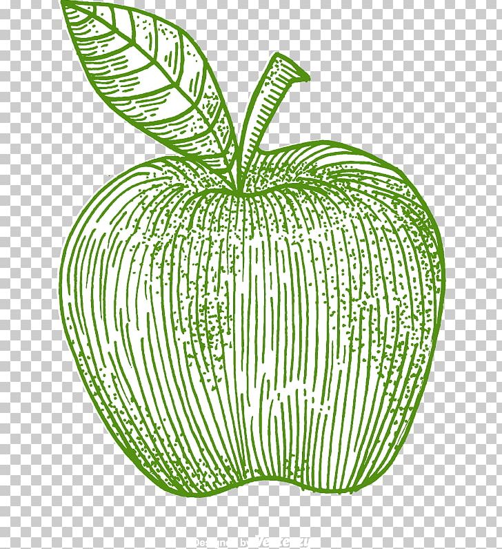 IPhone 7 Apple PNG, Clipart, Abstract Lines, Apple, Apple Vector, Background Green, Data Free PNG Download