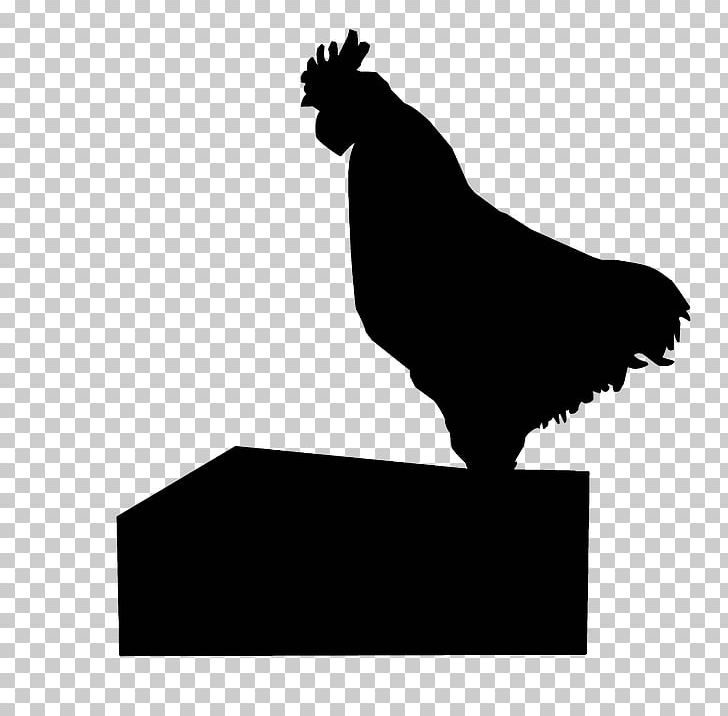 Rooster Polish Chicken Chicken As Food Poultry Farming PNG, Clipart, Beak, Bird, Black, Black And White, Chicken Free PNG Download